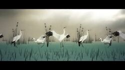 NASA | WATER FALLS Trailer Instructional Video