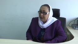 Analyst assesses state of revolution Instructional Video