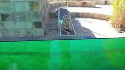 Woman with sunglasses Stock Footage