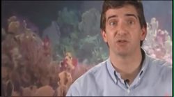 How Does Carbon Get Into The Oceans? - The Carbon Cycle Instructional Video