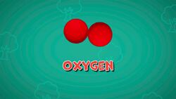 I WONDER - Are Trees Important For The Environment? Instructional Video