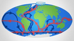 Why The Ocean Needs Salt Instructional Video