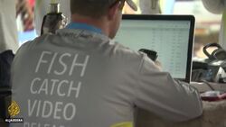 Tiger fishing in Zimbabwe: Catch and release helps preserve fish stocks News Clip