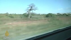 Senegal's new commuter train makes inaugural journey from Dakar News Clip