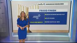 BITTER BLAST: Arctic air takes hold of Brooklyn after first snowstorm News Clip