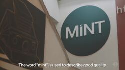 MiNT Camera Instructional Video