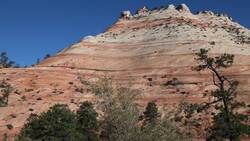 Fossil Formation Instructional Video