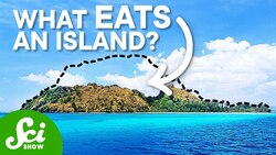 The Tiny Reasons This Island Is Shrinking Instructional Video