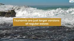 The Science of Tsunamis: How They Occur and How to Survive Them Instructional Video