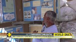 First Pharaoh's tomb since Tutankhamun found in Egypt News Clip
