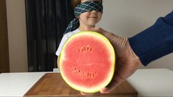 Smelling Challenge for Kids Instructional Video