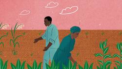 Economies of the 13 British Colonies Instructional Video