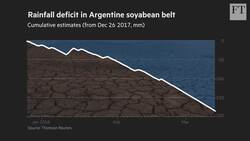 How soyabeans crisis is coming home Instructional Video