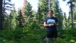 The Threats Facing Forests - Field Trip Instructional Video