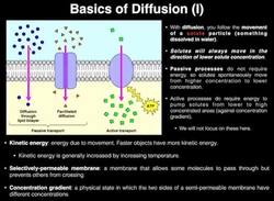 A&P I Lab | Exercise 3b: Brownian Motion Instructional Video