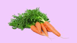 Let's Learn About Adjectives Instructional Video