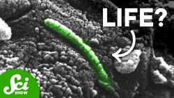 NASA's Most Controversial Rock Instructional Video