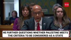 ‘We Want Life’: Palestine Diplomat In Tears As U.S Vetoes UNSC Resolution On Statehood News Clip