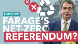 Could Britain Hold a Referendum on Net Zero? - TLDR News Instructional Video