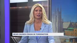 State police: Bear causes car crash on Route 8 in Torrington Instructional Video