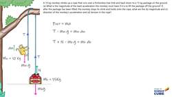 Physics Problem: Monkey, Rope, and Package Dynamics Instructional Video
