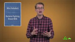 We Built a 'Holodeck' for Animals! Instructional Video