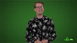 That Time North America Tried to Tear Itself Apart Instructional Video