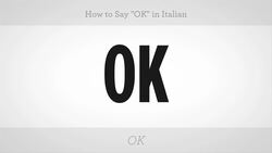How to Say "OK" in Italian Instructional Video