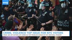 Crime And Violence Are Top Issues For NYC Voters News Clip