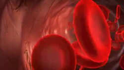 blood particles in the artery Stock Footage
