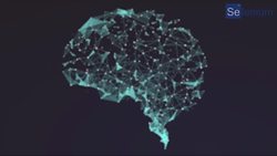 QUÉ ES EL ÁREA DE BROCA  Instructional Video