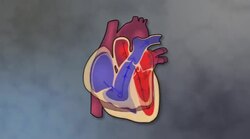 Breathing Your Way to Fitness Instructional Video