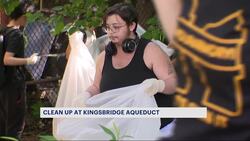 Kingsbridge community cleans up Aqueduct Walkway News Clip