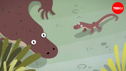 TED-Ed: How does this all-female species reproduce? | Susan Freitas and Darren Parker Instructional Video