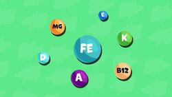 High Five Facts - Liver Instructional Video