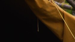 5 Things to Loathe or Love about Camping Instructional Video