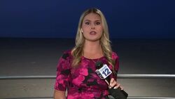 Heading to a Brooklyn beach today? Here's why you need to stay out of the water News Clip