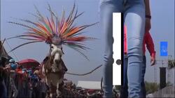 Watch: Mexico festival honours donkeys above workers on Labour Day News Clip