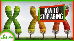 Why We Age - And How We Can Stop It Instructional Video