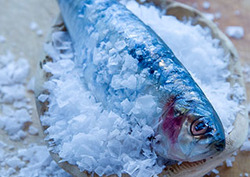 Conservante Instructional Video