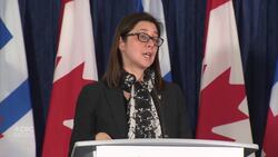 Toronto’s medical officer of health on LCBO staying open News Clip