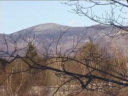 Exploring Forest Biomes: Exploring Temperate Deciduous Forests Instructional Video