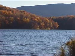 Water, Water, Everywhere: Freshwater Instructional Video