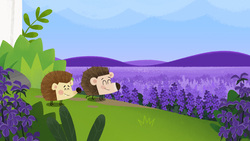 Hedgie Highway Instructional Video