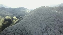 aerial view of the mountain forest and snowy trees Stock Footage