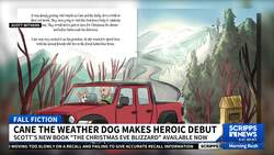 'The Christmas Eve Blizzard': A dog's story saving Christmas in wild weather News Clip