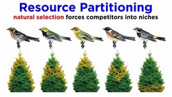 Community Ecology and Landscape Ecology Instructional Video