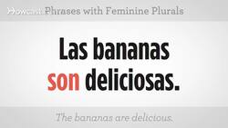How to Use Feminine Plurals in Spanish Instructional Video