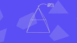 I WONDER - What Is An Apex? Instructional Video