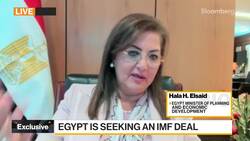 Minister Elsaid on Egypt's Economy News Clip